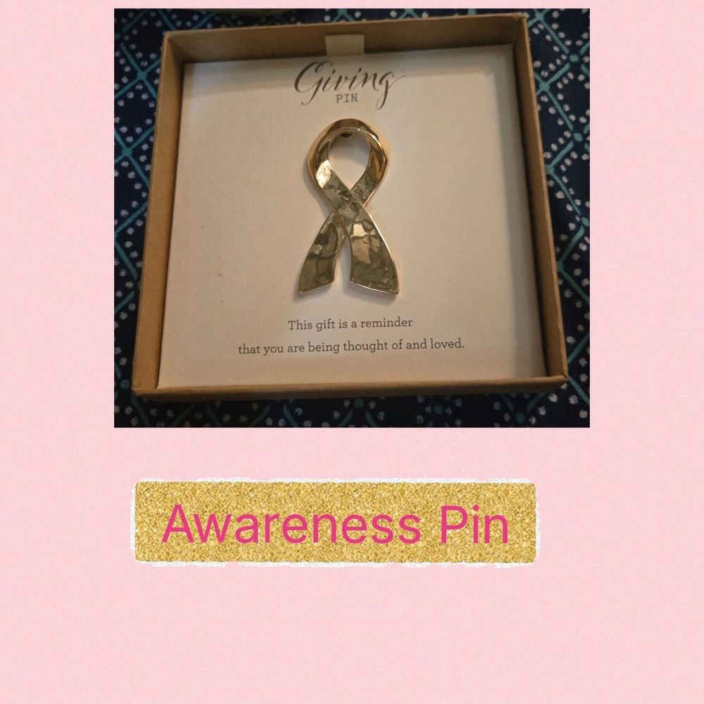 ❤️ Gold and Silver Awareness Pin NIB